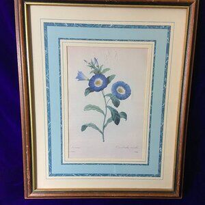 Vintage Botanical Liseron Framed Matted Print P. J. Redoute